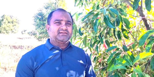 পাহাড়ে জলপাই চাষ করে সফল তরুণ কৃষি উদ্যোক্তা সরোয়ার